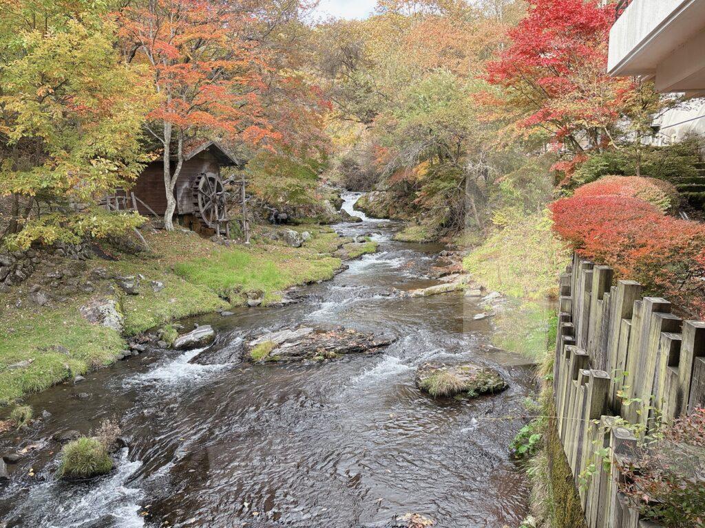 蓼科グランドホテル滝の湯 館内から見える風景を撮影した画像