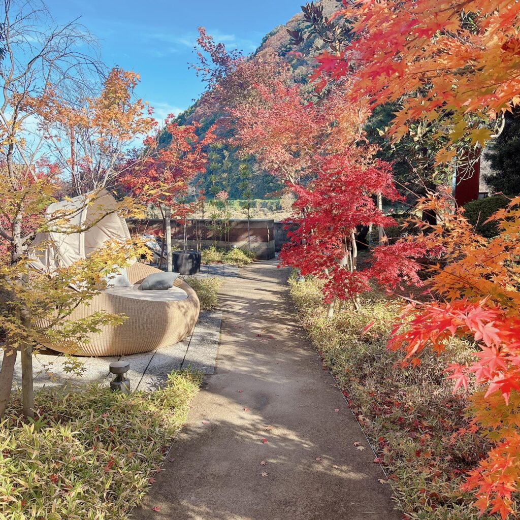 庄川温泉ゆめつづりの庭園を撮影した画像3